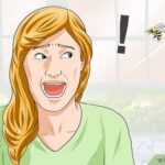 Apifobi / Melissofobi – Frygt for hvepse og bier